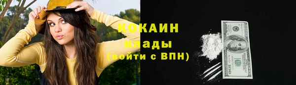 не бодяженный Ельня